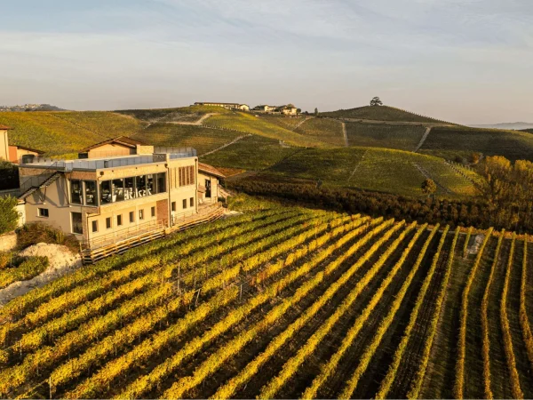 DAMILANO LANGHE DOC ARNEIS