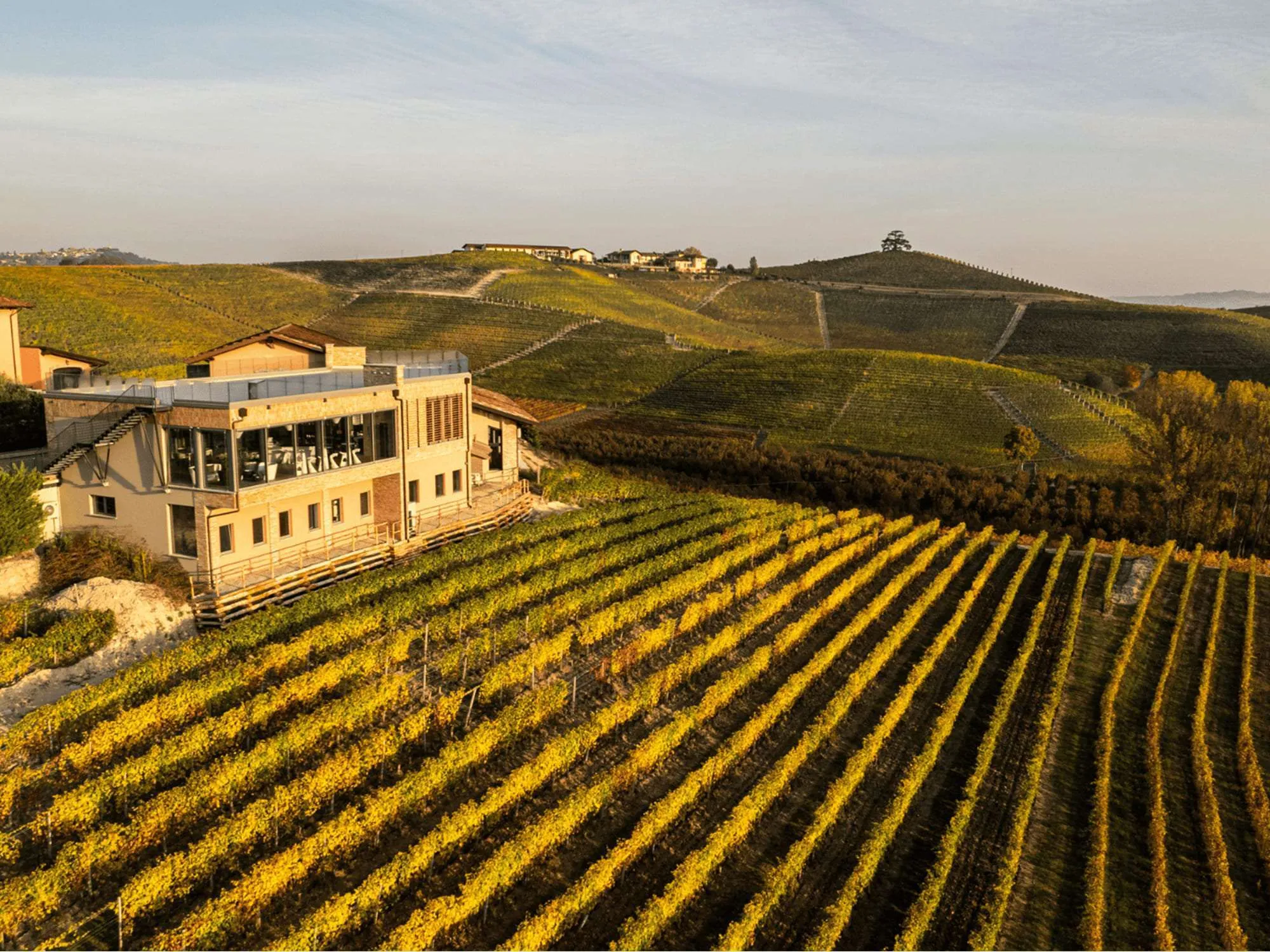 DAMILANO LANGHE DOC ARNEIS - obrazek 7