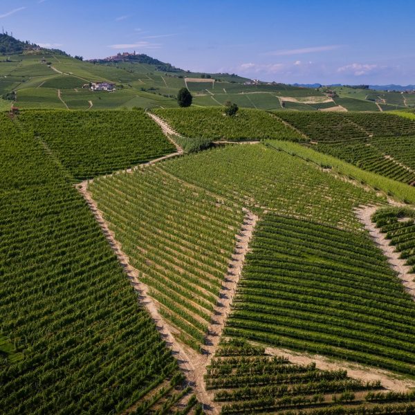DAMILANO LANGHE DOC ARNEIS