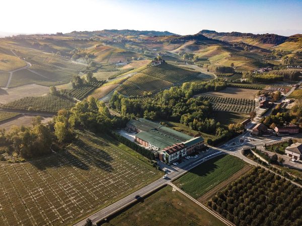 DAMILANO LANGHE DOC ARNEIS