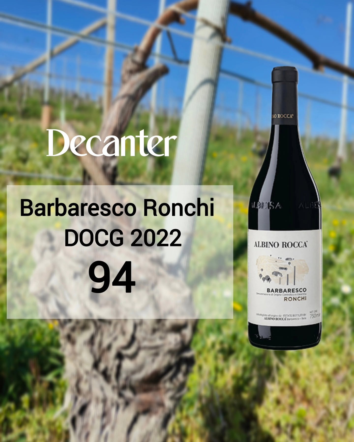 ALBINO ROCCA BARBARESCO RONCHI DOCG - obrazek 5