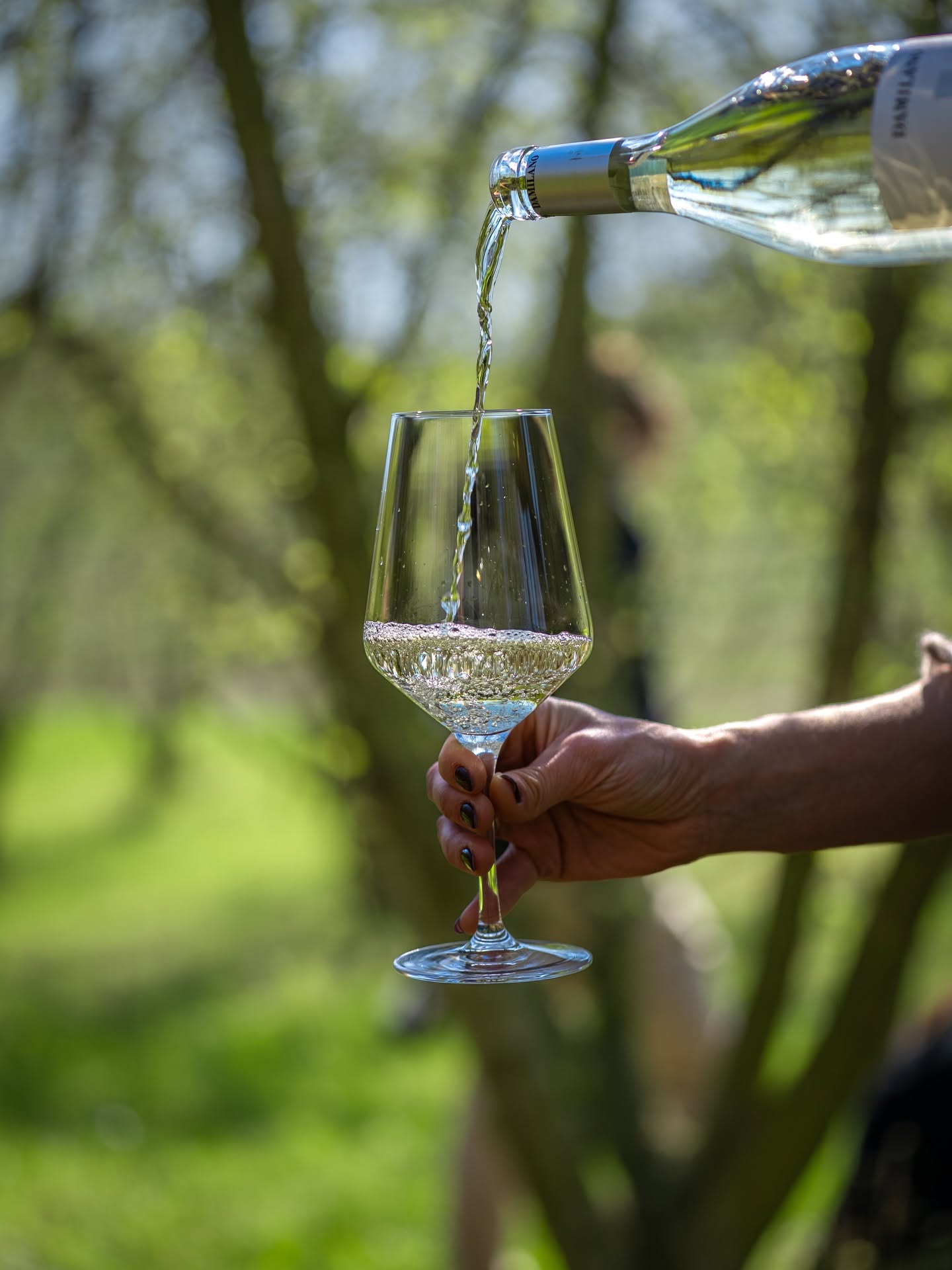 DAMILANO LANGHE DOC BIANCO - obrazek 4