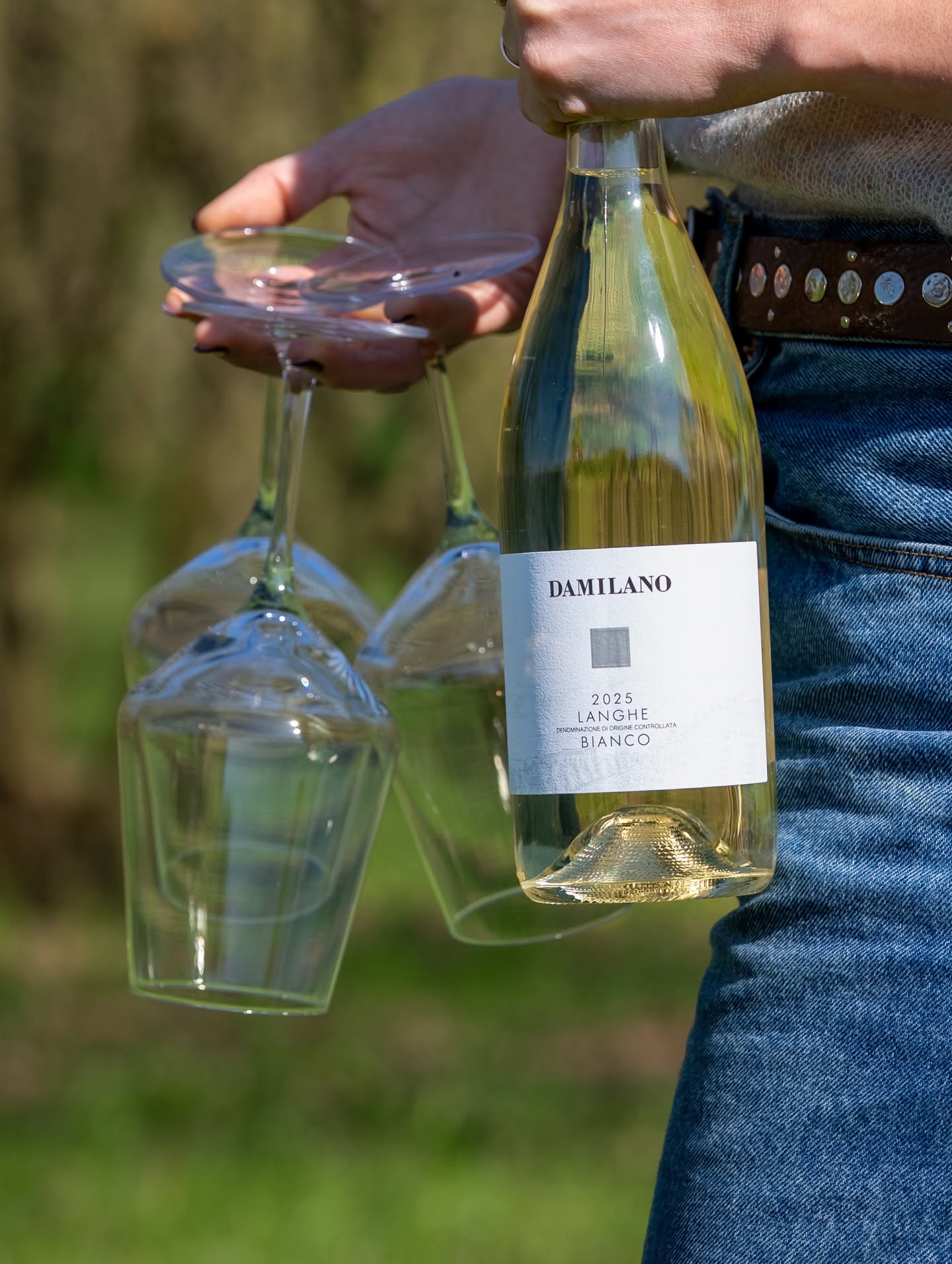 DAMILANO LANGHE DOC BIANCO - obrazek 3