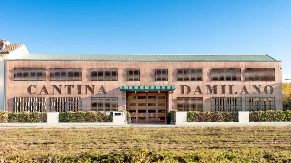 DAMILANO LANGHE DOC ARNEIS