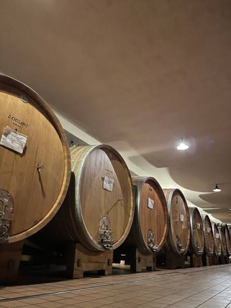DAMILANO LANGHE DOC ARNEIS - obrazek 13