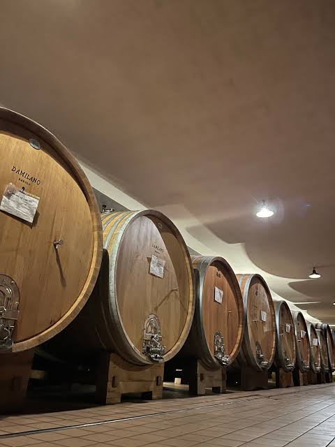DAMILANO LANGHE DOC ARNEIS