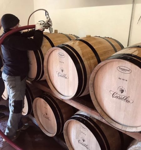 TENUTA CAROBBIO CHIANTI CLASSICO RISERVA DOCG - obrazek 13