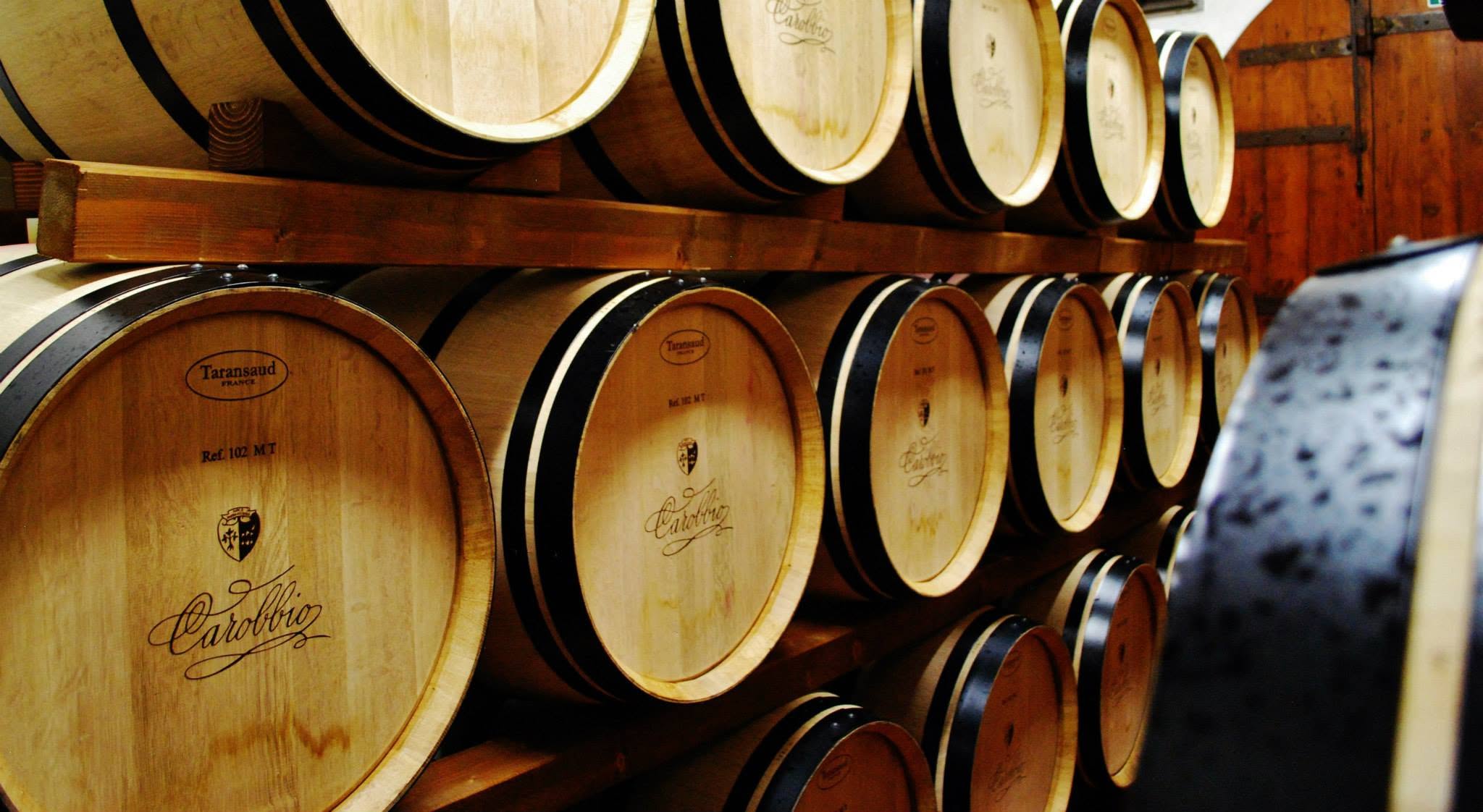TENUTA CAROBBIO CHIANTI CLASSICO RISERVA DOCG - obrazek 14