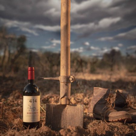 PODERE 414 BADILANTE IGT SANGIOVESE BIO - obrazek 7