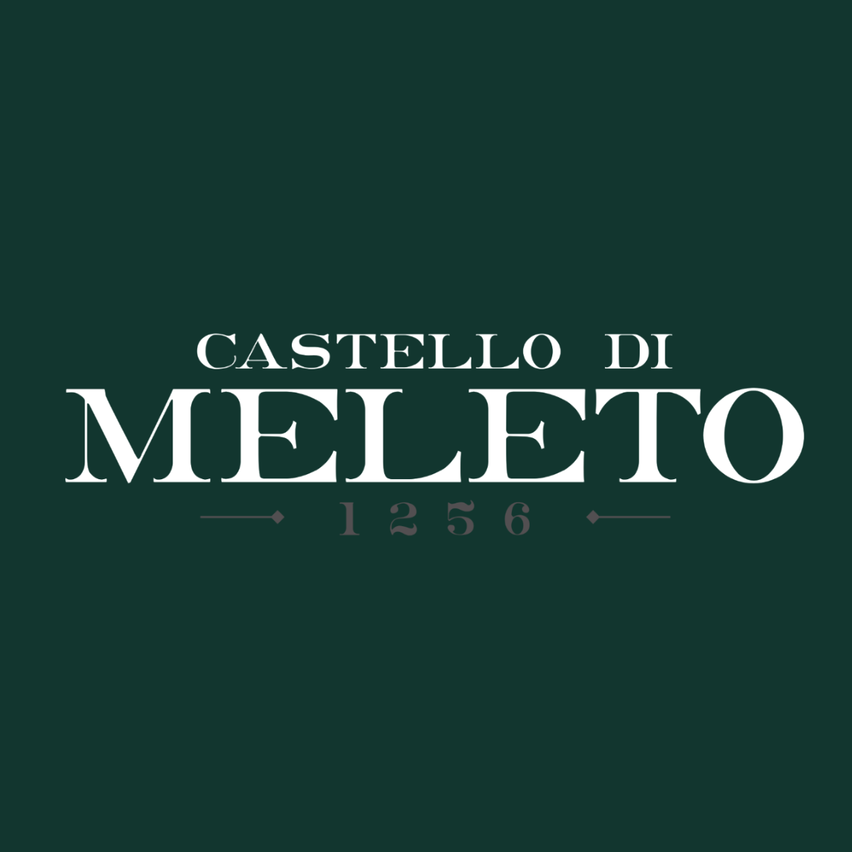 CASTELLO DI MELETO VIN SANTO DEL CHIANTI CLASSICO 0,375L - obrazek 16