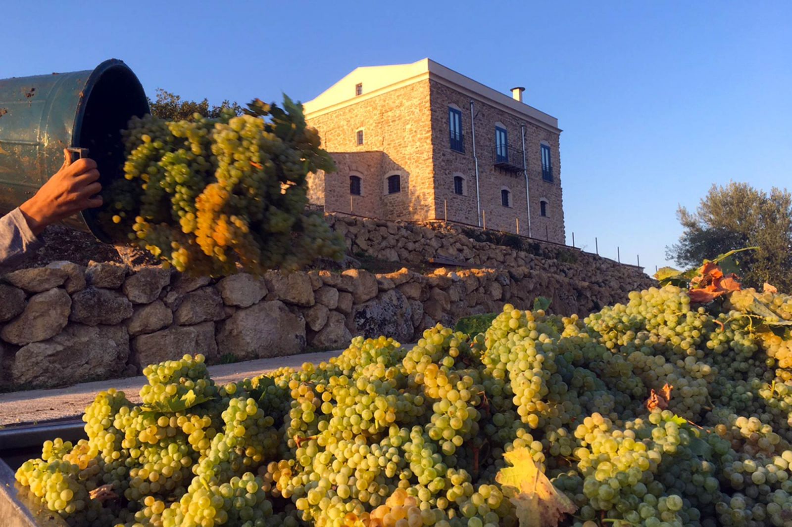 TENUTE LOMBARDO UNÀNIME ROSSO TERRE SICILIANE IGP - obrazek 10