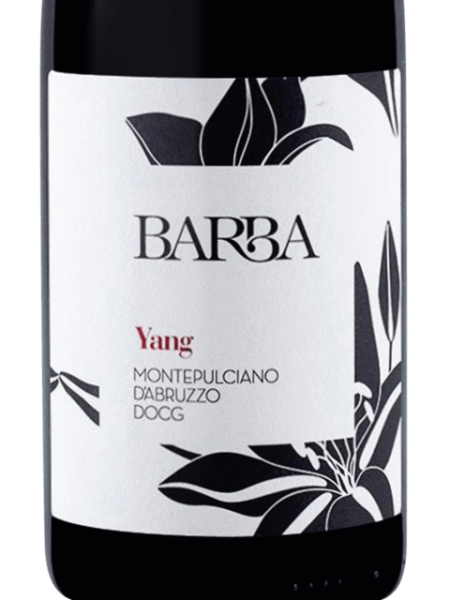 FRATELLI BARBA MONTEPULCIANO D'ABRUZZO DOCG COLLINE TERAMANE DOCG YANG - obrazek 3