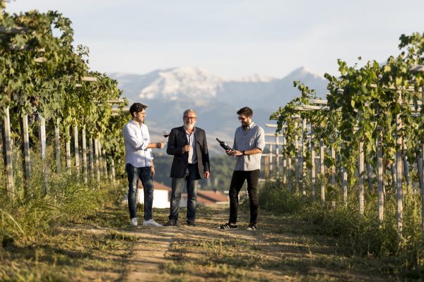 TOCCO SPUMANTE BRUT PECORINO