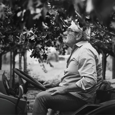 TOCCO ENISIO MONTEPULCIANO D'ABRUZZO DOC RISERVA - obrazek 17