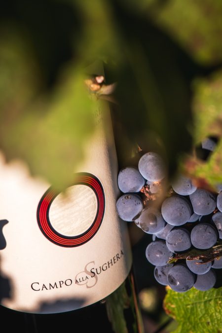 CAMPO ALLA SUGHERA ARNIONE BOLGHERI DOC SUPERIORE - obrazek 10