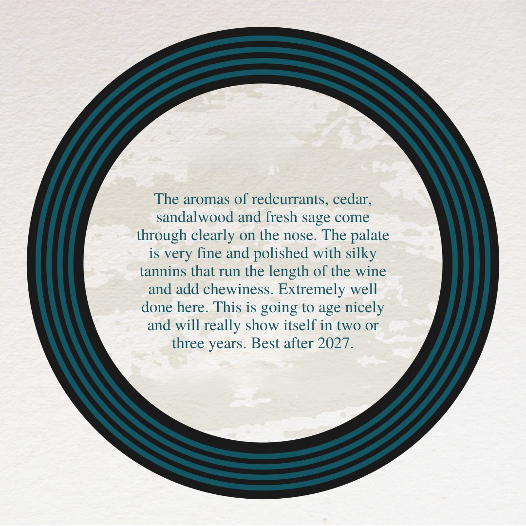 CAMPO ALLA SUGHERA ADÈO BOLGHERI ROSSO DOC - obrazek 5