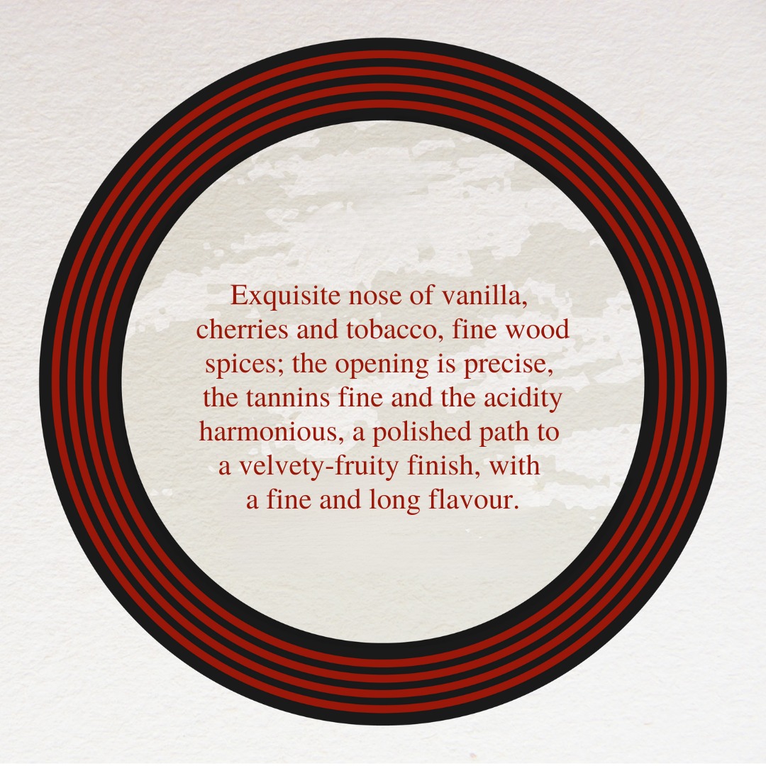 CAMPO ALLA SUGHERA ARNIONE BOLGHERI DOC SUPERIORE - obrazek 8