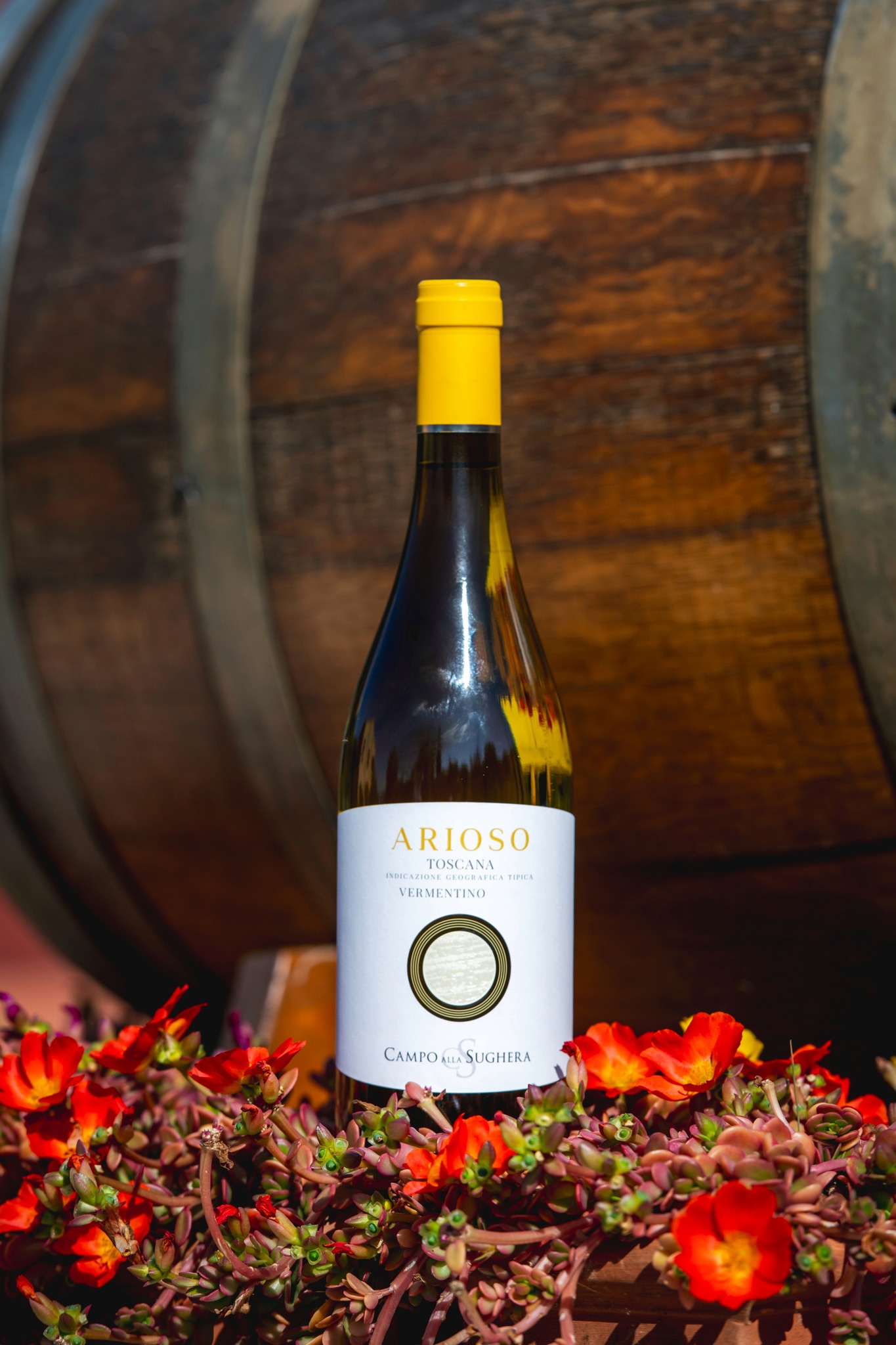 CAMPO ALLA SUGHERA ARIOSO IGT TOSCANA BIANCO - obrazek 4