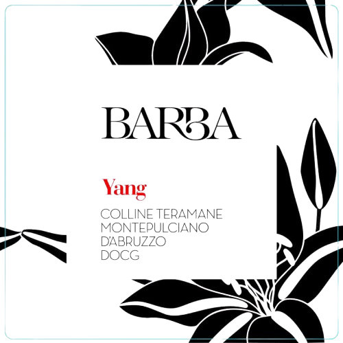FRATELLI BARBA MONTEPULCIANO D'ABRUZZO DOCG COLLINE TERAMANE DOCG YANG