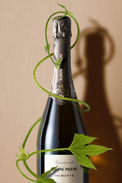 BARONE PIZZINI ANIMANTE FRANCIACORTA DOSAGGIO ZERO DOCG - obrazek 6