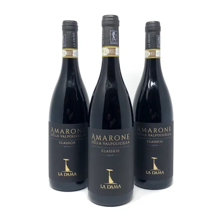 LA DAMA AMARONE DELLA VALPOLICELLA CLASSICO DOCG BIO - obrazek 3