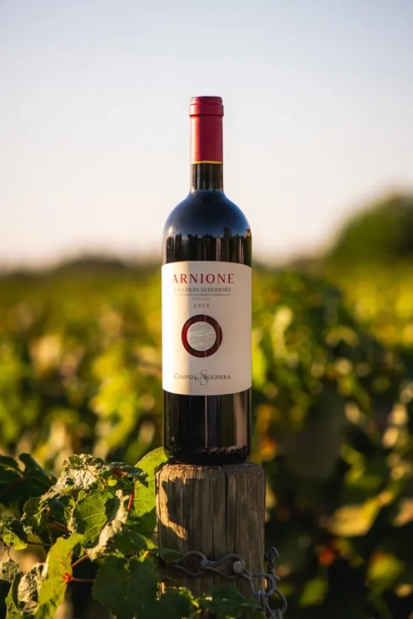 CAMPO ALLA SUGHERA ARNIONE BOLGHERI DOC SUPERIORE