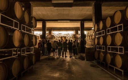 BARONE PIZZINI CURTEFRANCA ROSSO DOC - obrazek 11