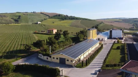 FRATELLI BARBA PECORINO COLLI APRUTINI IGT COLLEMORINO - obrazek 4