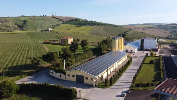 FRATELLI BARBA PECORINO COLLI APRUTINI IGT COLLEMORINO