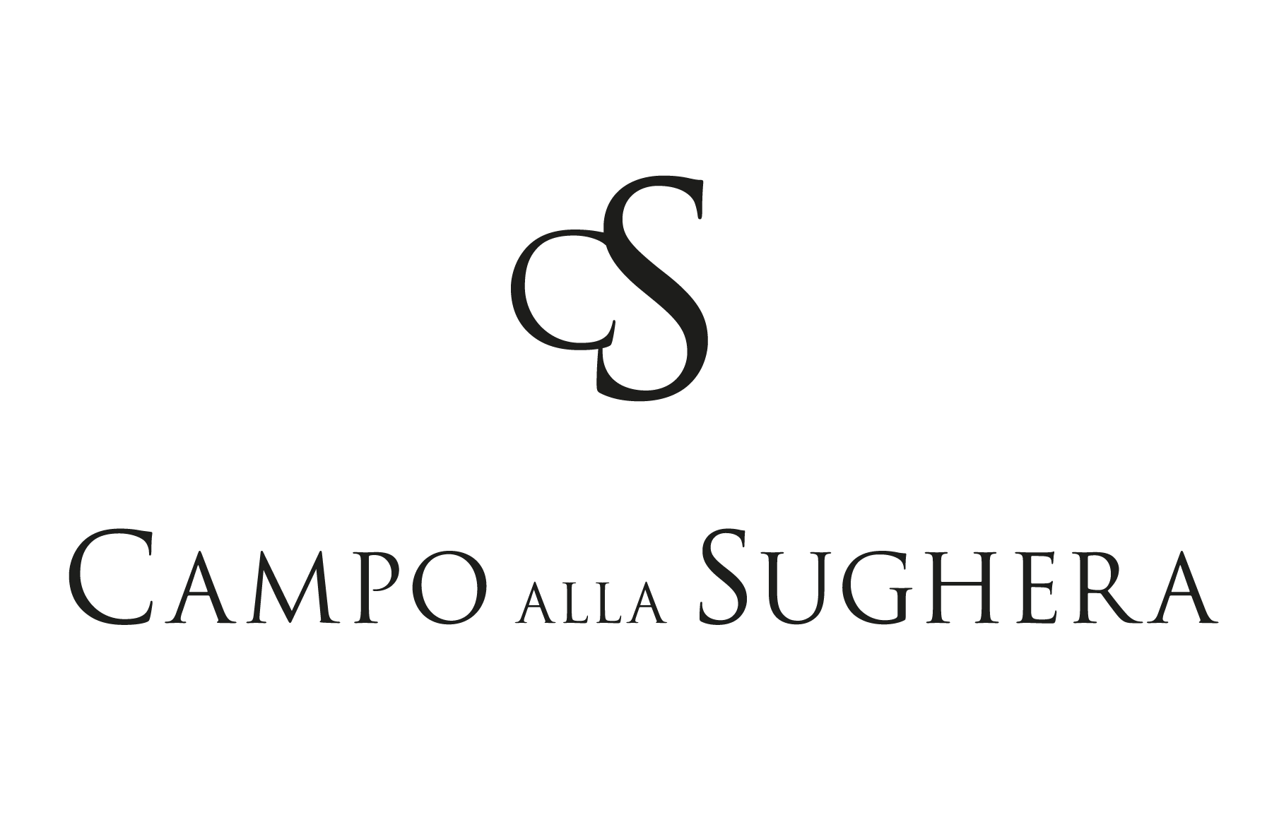 CAMPO ALLA SUGHERA ARIOSO IGT TOSCANA BIANCO - obrazek 17