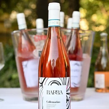 FRATELLI BARBA CERASUOLO D'ABRUZZO DOC COLLE MORINO - obrazek 2