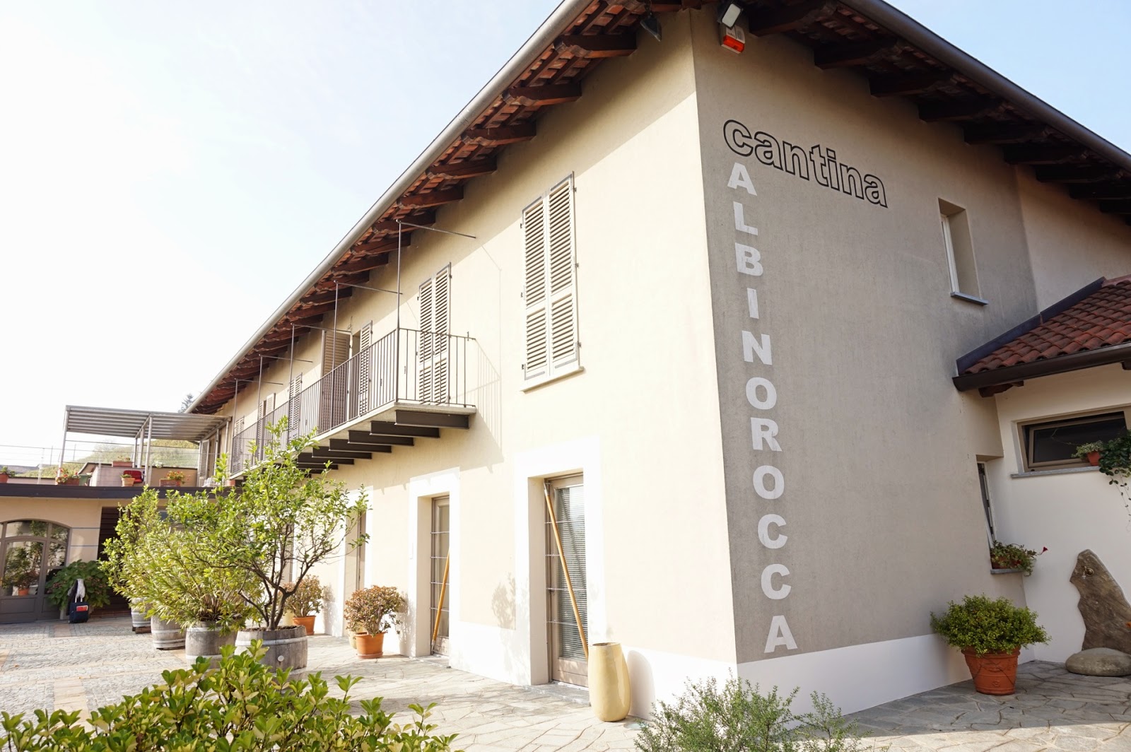 ALBINO ROCCA PIEMONTE CORTESE "LA ROCCA" DOC - obrazek 4