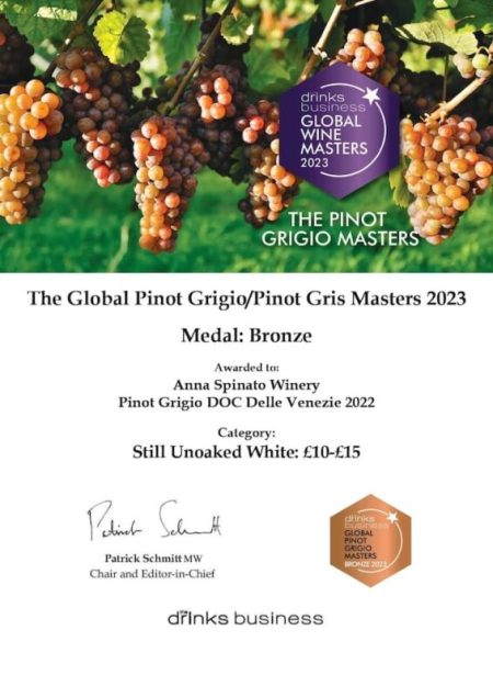 ANNA SPINATO PINOT GRIGIO DOC DELLE VENEZIE - obrazek 8