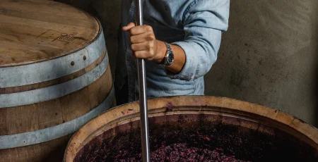 CASTELLO TRICERCHI IULI'O IGP TOSCANA - obrazek 6