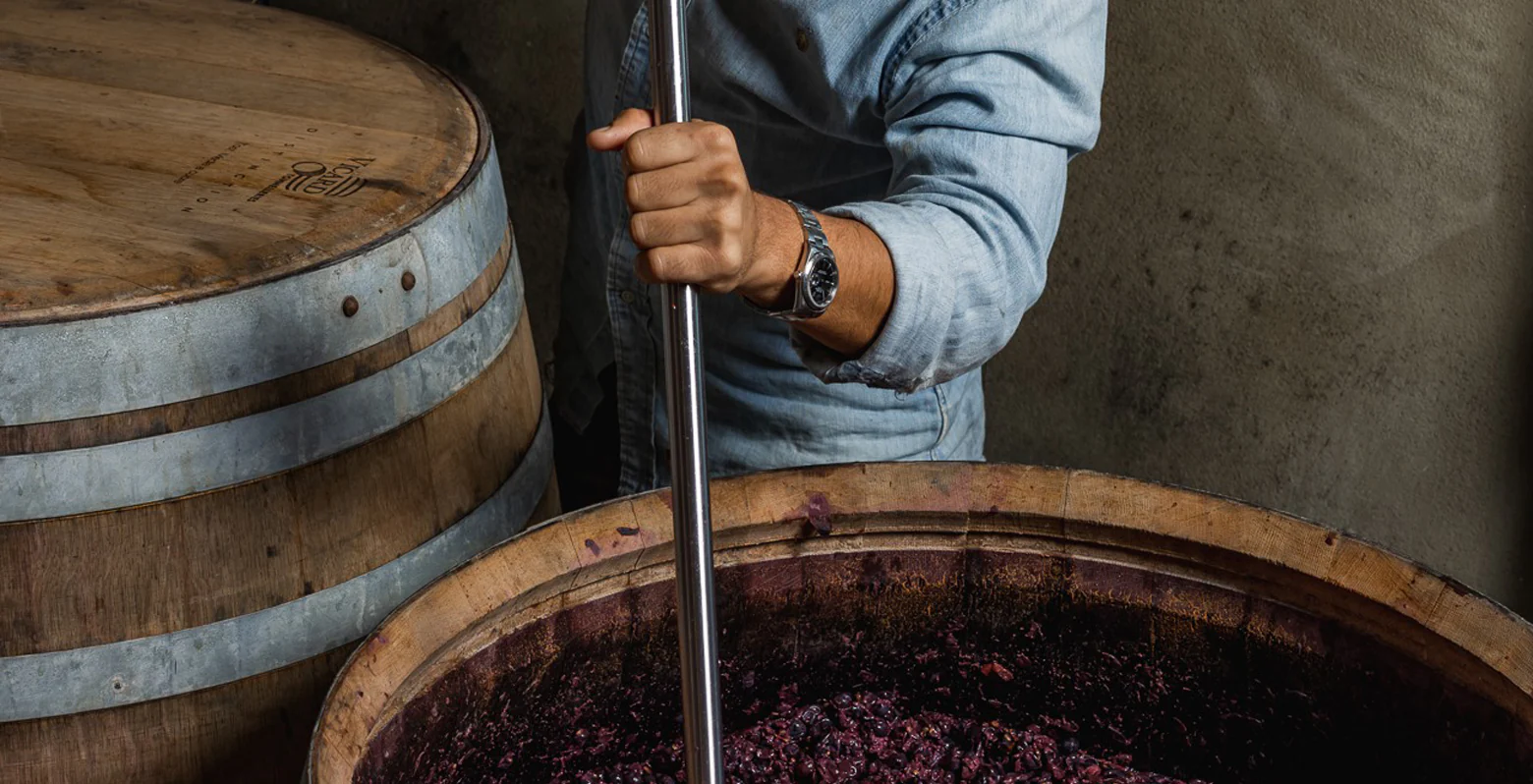 CASTELLO TRICERCHI IULI