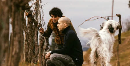 CASTELLO TRICERCHI ROSSO DI MONTALCINO DOC - obrazek 8