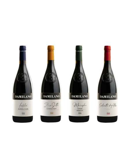 DAMILANO BARBERA D'ALBA DOC "LABLÙ" - obrazek 4