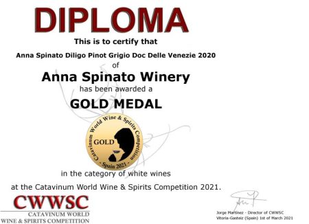 ANNA SPINATO PINOT GRIGIO DOC DELLE VENEZIE - obrazek 9