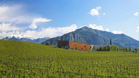 BARONE PIZZINI CURTEFRANCA ROSSO DOC - obrazek 8