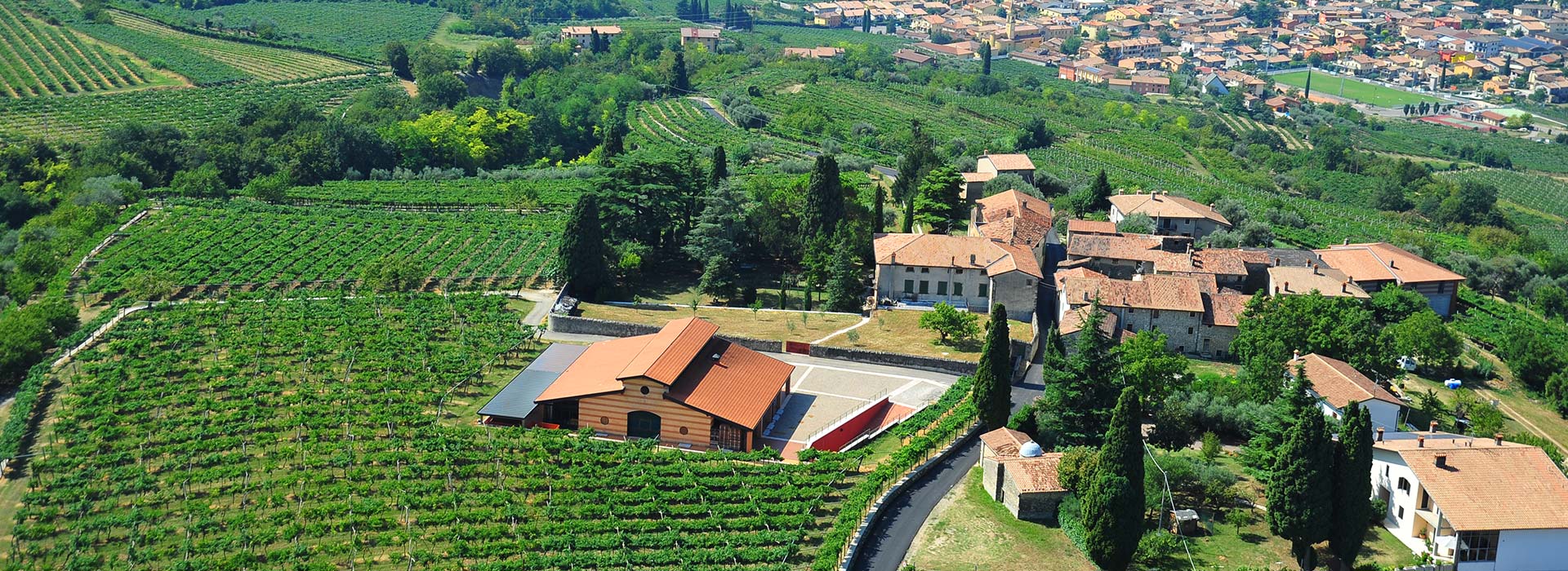 AZIENDA AGRICOLA CLEMENTI VALPOLICELLA SUPERIORE CLASSICO DOC - obrazek 4