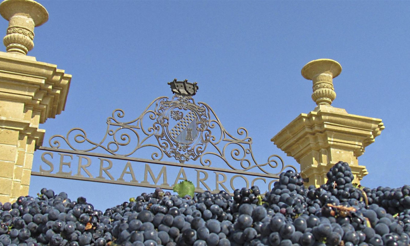 BARONE DI SERRAMARROCCO NERO DI SERRAMARROCCO TERRE SICILIANE IGP - obrazek 7