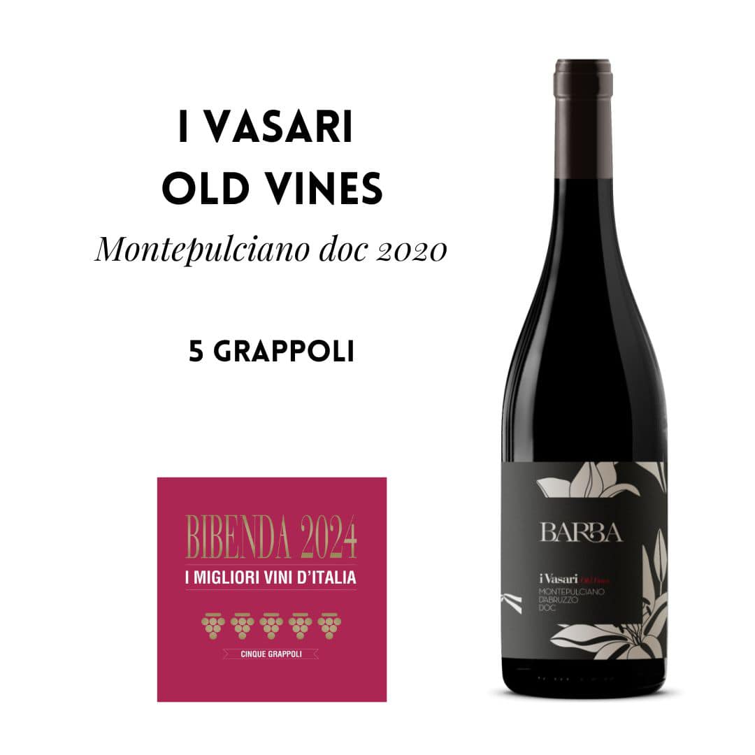FRATELLI BARBA MONTEPULCIANO D’ABRUZZO DOC I VASARI OLD VINES - obrazek 11