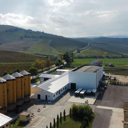 FRATELLI BARBA MONTEPULCIANO D'ABRUZZO DOCG COLLINE TERAMANE DOCG YANG - obrazek 9