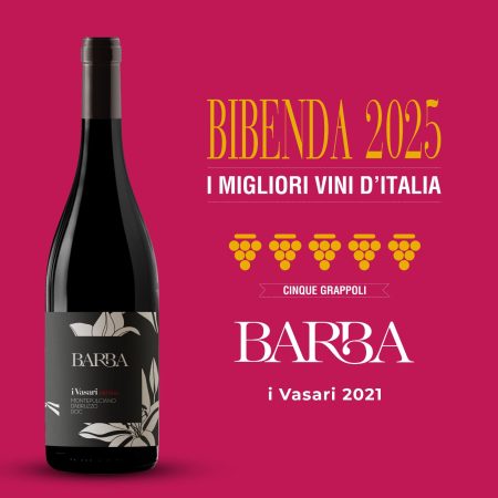 FRATELLI BARBA MONTEPULCIANO D’ABRUZZO DOC I VASARI OLD VINES - obrazek 10
