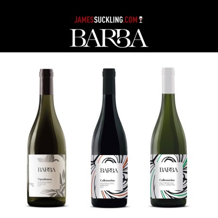 FRATELLI BARBA MONTEPULCIANO D’ABRUZZO DOC COLLEMORINO - obrazek 4