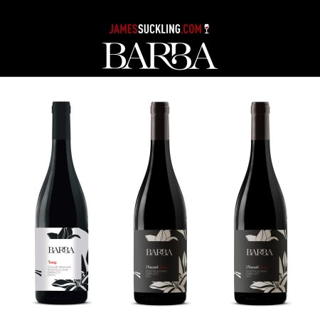 FRATELLI BARBA MONTEPULCIANO D'ABRUZZO DOCG COLLINE TERAMANE DOCG YANG - obrazek 6