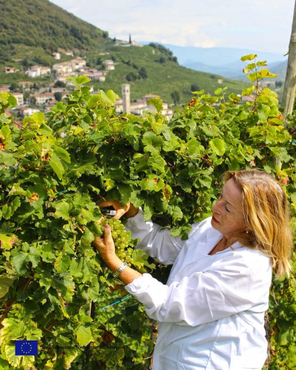 ANNA SPINATO PROSECCO MILLESIMATO DOCG BRUT MAGNUM 1,5L