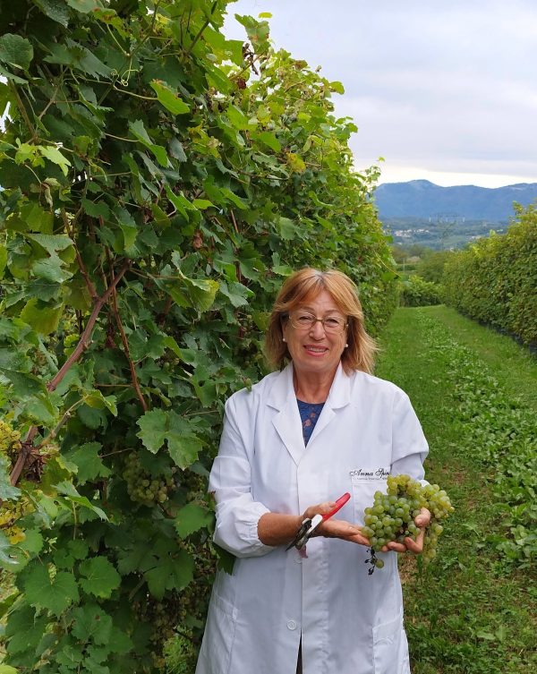 ANNA SPINATO PROSECCO MILLESIMATO DOCG BRUT MAGNUM 1,5L