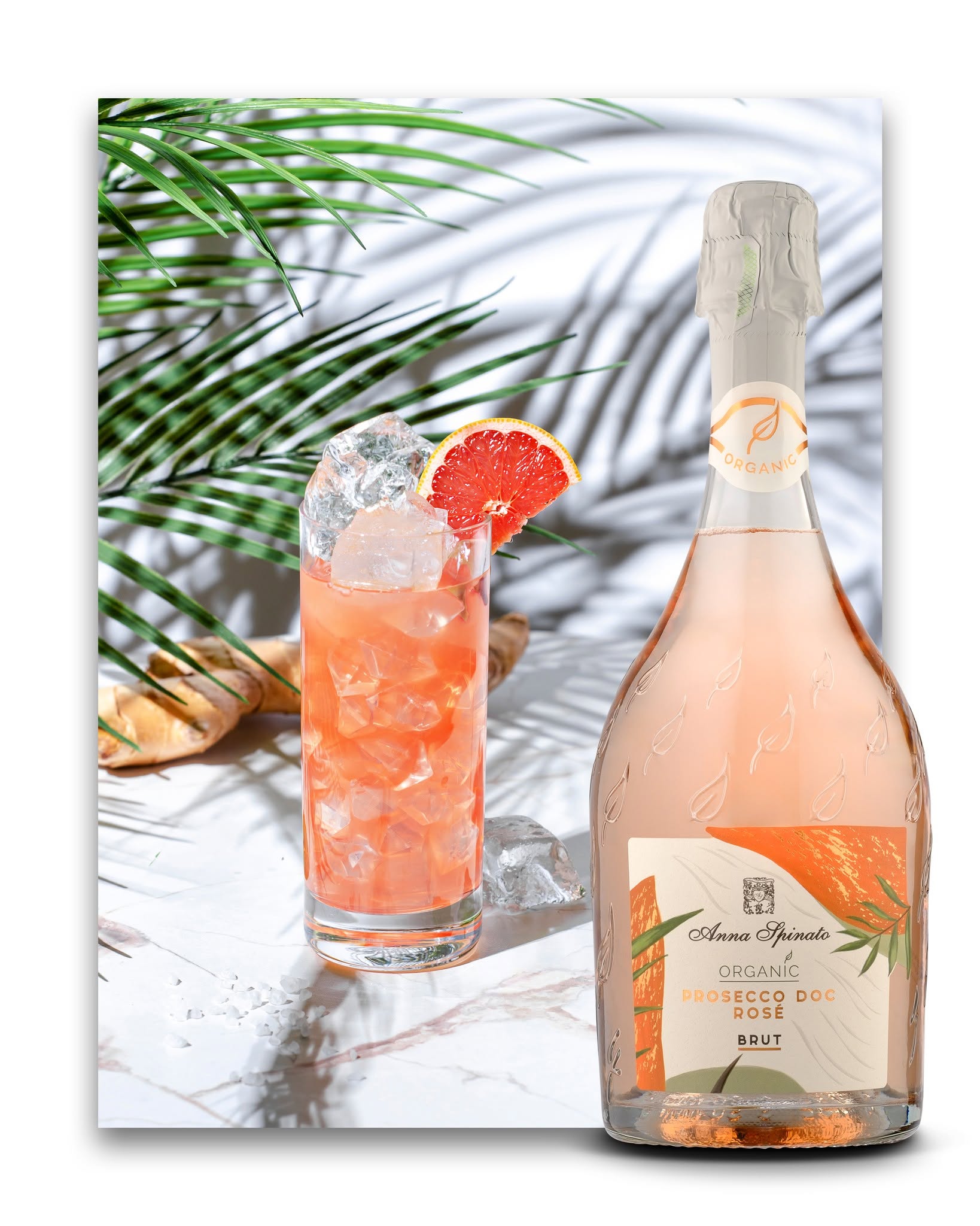 ANNA SPINATO ORGANIC PROSECCO MILLESIMATO ROSÉ DOC BRUT - obrazek 10