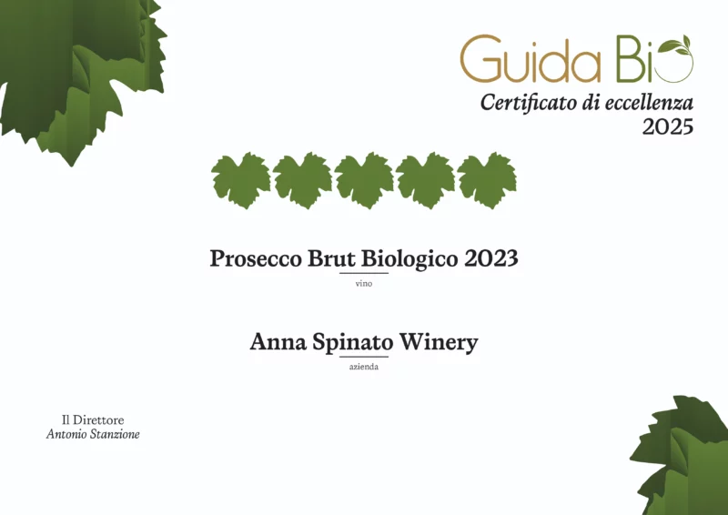 ANNA SPINATO ORGANIC PROSECCO MILLESIMATO DOC BRUT - obrazek 8